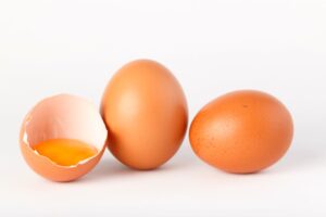 Egg